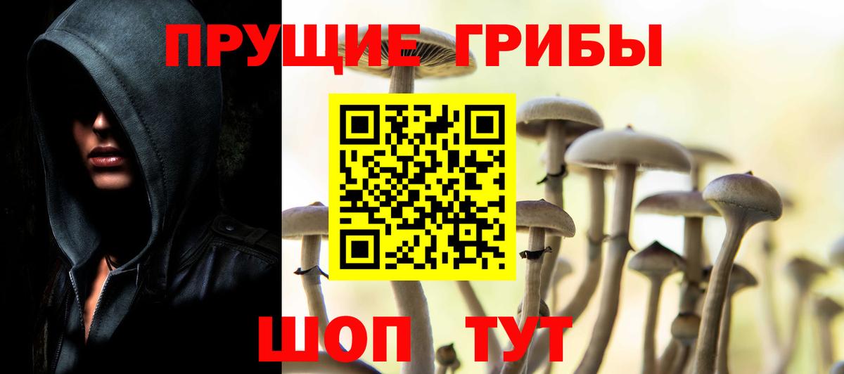Галлюциногенные грибы Psilocybine cubensis  Галлюциногенные грибы мицелий  Дзержинский  Вход с VPN 